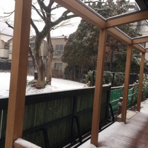 2015.1.30.雪の公園