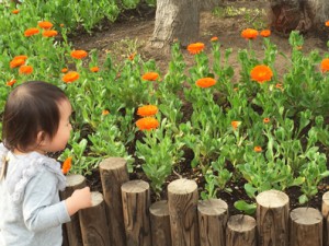 2016.4.16きんせんか